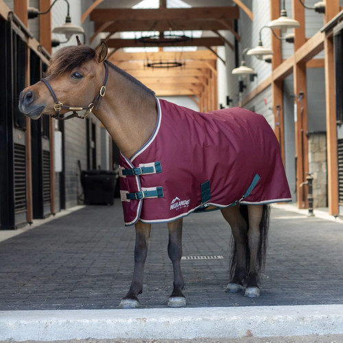 Shires mini highlander 200 - mini,