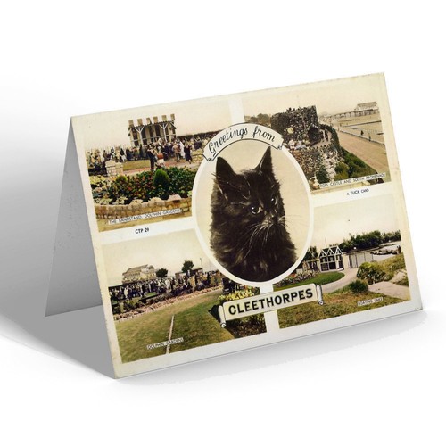 Greeting card vintage - greeting,