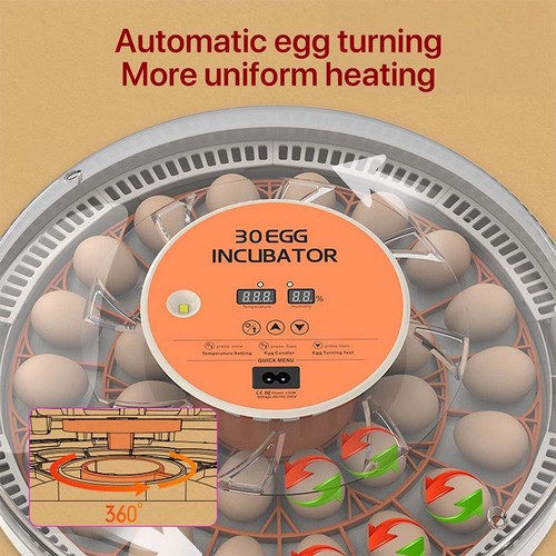 30egg intelligent incubator - intelligent,
