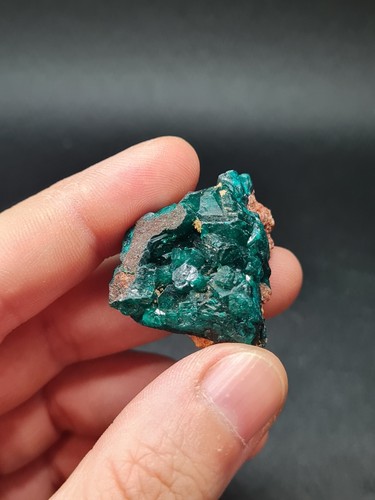 Dioptase specimen congo - congo,