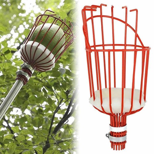 Apple fruit picker lightweight - apple,