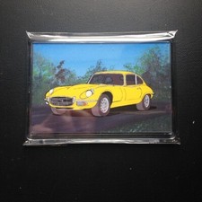 Jaguar E Type coupe clear