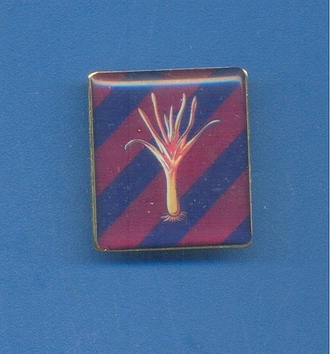 Welsh guards lapel badge - guards.lapel, badge.size