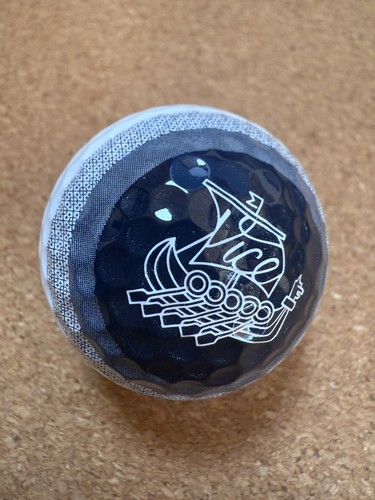 Vice voyage valhalla 2024 - vice,