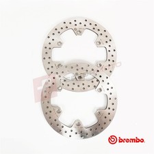 Brembo Fixed Front Brake Disc