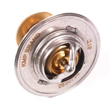 EA504038890 THERMOSTAT