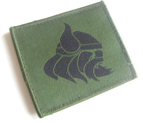 1st the royal anglian - bn,