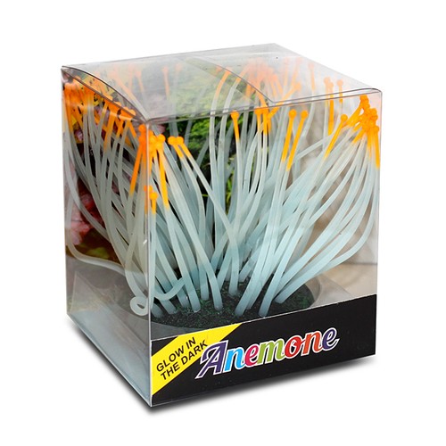 Fshl0007 illuminous anemone - illuminous,