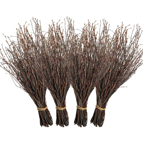 200 pcs real dried - 200,