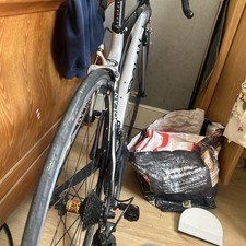 Dolan Hercules SE Carbon Fibre