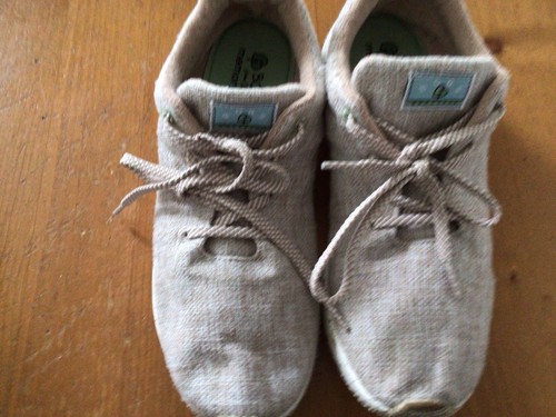 Bobs skechers size beige - skechers,