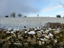 Photo 6x4 Snow on a dry stone
