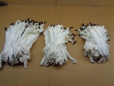 #2 Quality Tanned Ermine with