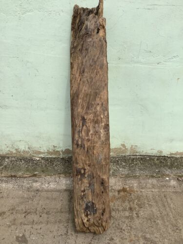 Long old solid english - 4`, oak