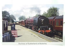 Duchess of Sutherland Steam