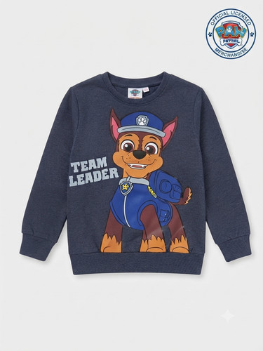 Boys paw patrol - boys,