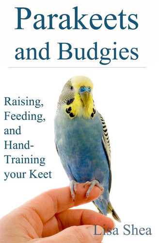 Parakeets and budgies - and,