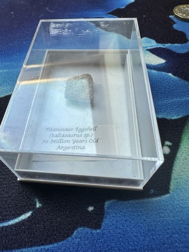 Titanosaur eggshell fossil - eggshell,
