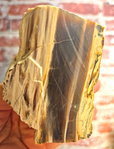 Petrified wood natural - petrified,