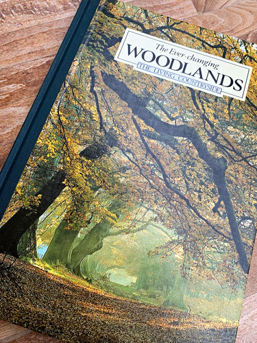 The ever changing woodlands - ever-changing,
