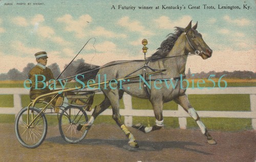 Lexington futurity winner - lexington,