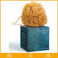 Natural Exfoliating Sea Sponge