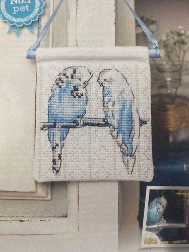 Beloved pair pet budgies - beloved,