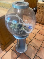 Biorb 60l Fish tanks with