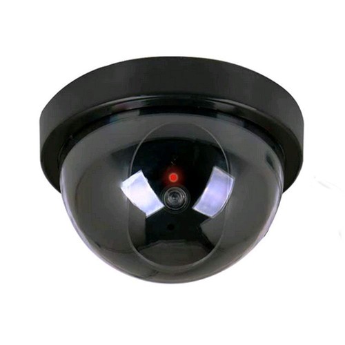 Dummy fake surveillance - dummy,