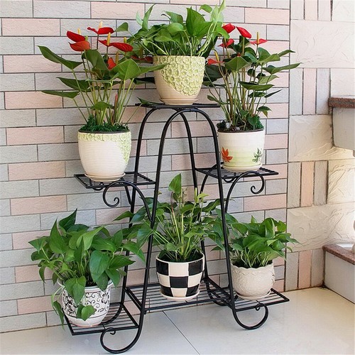 Tier herb plant - plant, iron