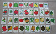 Lot of 38 Old Vintage 1960's-70's - VEGETABLE SEED PACKETS - Lone Star - EMPTY