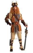 Viking Warrior Fancy Dress