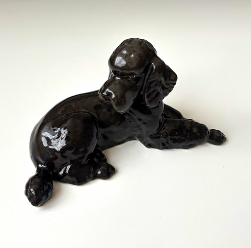 Royal belvedere black - black, poodle