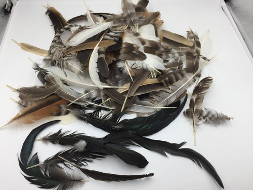 Large lot 100 real - large,