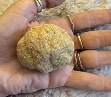 Whole Unopened Geode Small Size Crystal Break Your Own Quartz Druzy