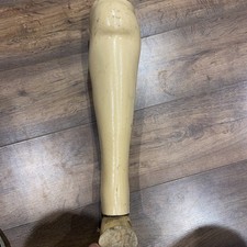 Prosthetic Leg