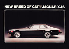 Jaguar 1975 XJS 5.3 V12  Poster Picture Print A1(Plus E Type Mk2 Mk1 XJS V-12