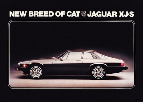 Jaguar 1975 xjs - 1975,