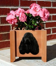 American Cocker Spaniel Wood