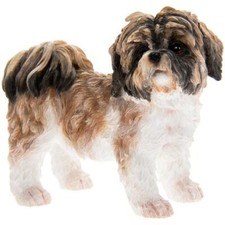 Brown White Shih Tzu Ornament