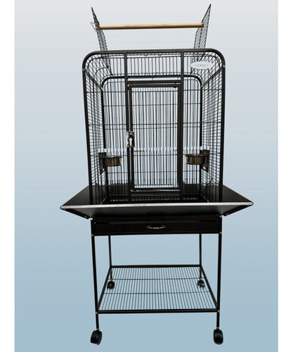 Parrot supplies sarasota open - parrot-supplies,