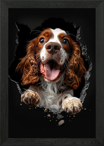 English springer spaniel - english,