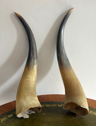 Pair vintage natural - vintage,