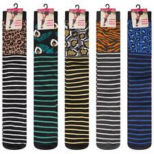 5 Pairs Ladies Novelty