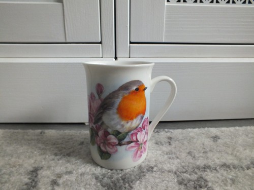 The leonardo collection - the, robin