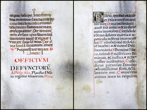 Manuscript leaf vellum - on, from