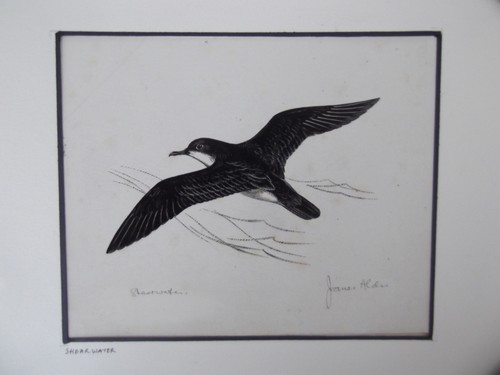 Original ilustration a - ilustration, of