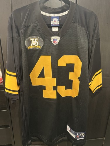 Nfl pittsburgh steelers - nfl,