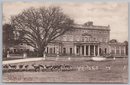 Ashtead house surrey deer - house,