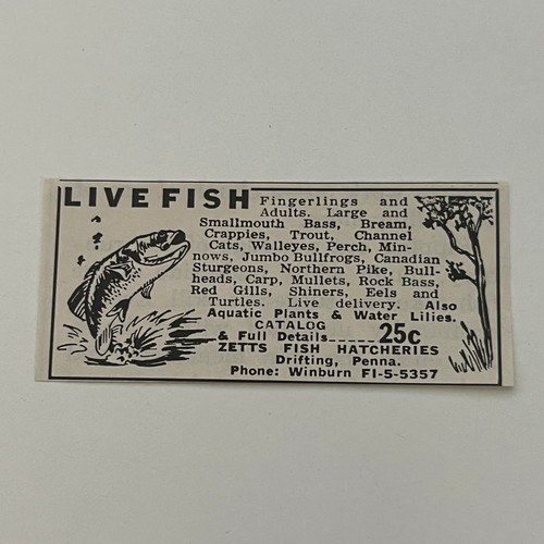 Zetts fish hatcheries - zetts,